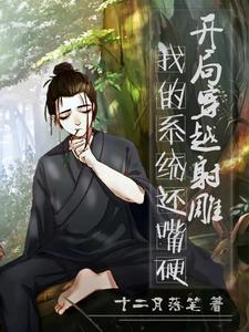 穿越射雕英雄传系统