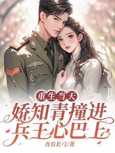 重生当天娇知青撞进兵王心巴上 吾有长弓