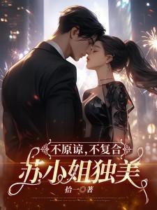 不原谅不复合苏小姐独美男主角是谁