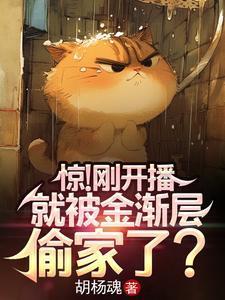 金渐层会不会抓老鼠