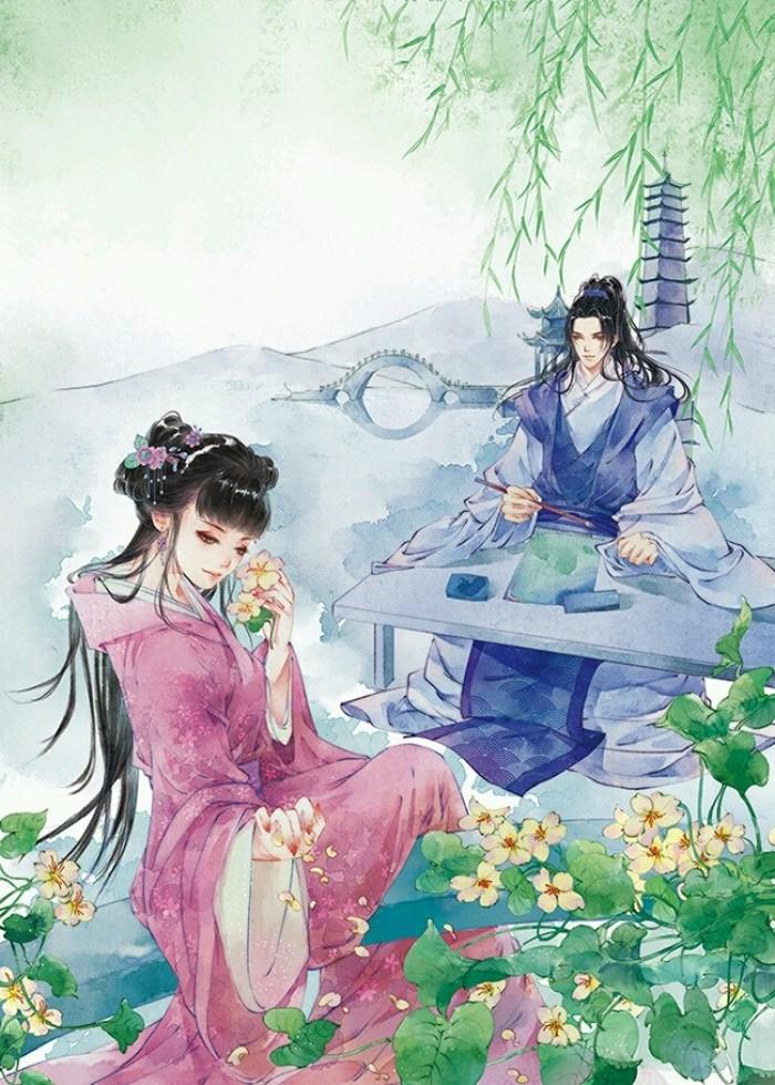 沈舒是什么