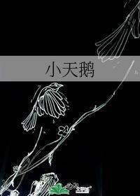 小天鹅空调
