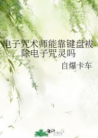 电子咒术师能靠键盘袚除电子咒灵吗格格党