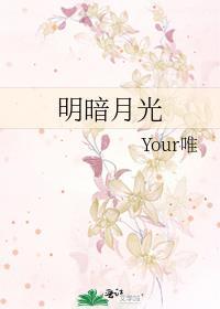 明暗月光TXT全文免费阅读