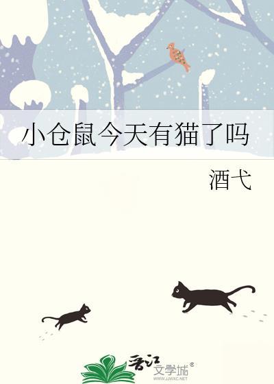 小仓鼠今天有猫了吗免费阅读全文