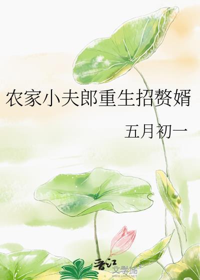 农家小夫郎重生招赘婿第36章