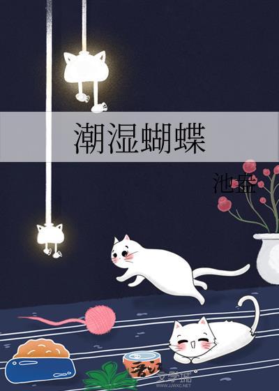 蝴蝶潮图