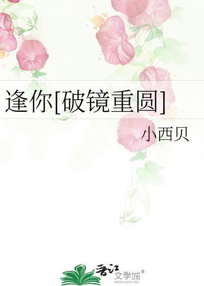 逢你破镜重圆全本免费阅读