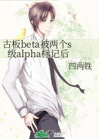 古板beta被两个s级alpha标记后免费阅读