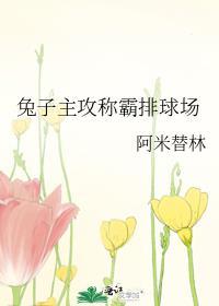 兔子排球大赛