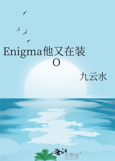 Enigma他又在装O txt