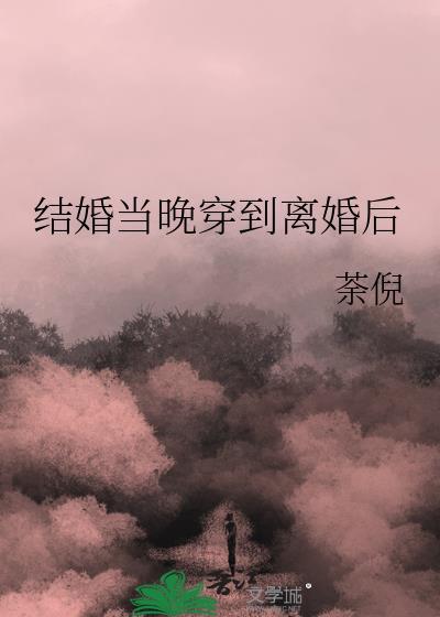 结婚当晚穿到离婚后作者荼倪