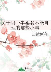 关于另一半柔弱不能自理的那些小事笔趣阁
