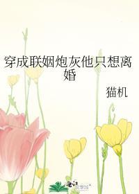 穿成联姻炮灰他只想离婚免费