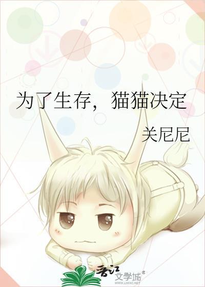 猫猫决定