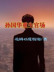 重生之官场鬼才免费阅读