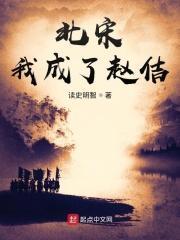 北宋我成了赵佶 txt