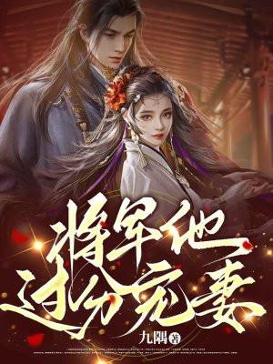 将军夫人过分美晋江文学城