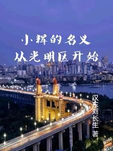 小辉是什么