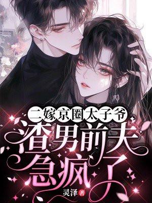 二嫁太子妃全文免费阅读
