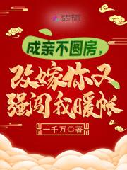 成亲不圆房改嫁你又强闯我暖帐