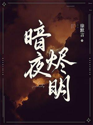暗夜微明免费观看全集