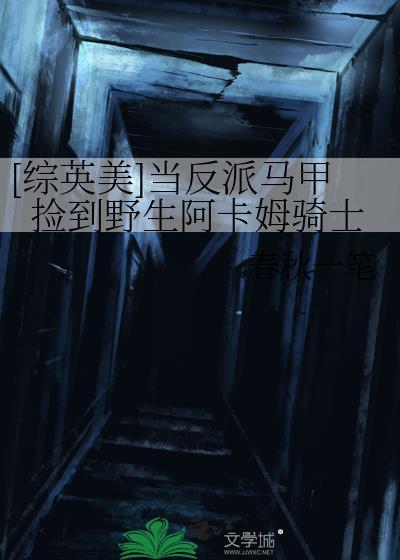 [综英美]当反派马甲捡到野生阿卡姆骑士