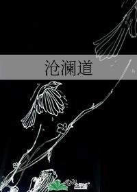 沧澜道