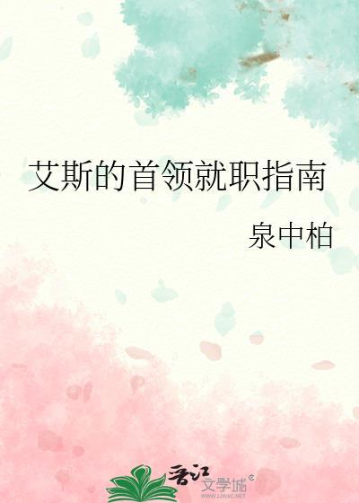 艾斯的首领就职指南