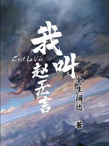 我叫赵无言