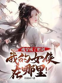 魂穿成了把剑，我的女侠在哪里！